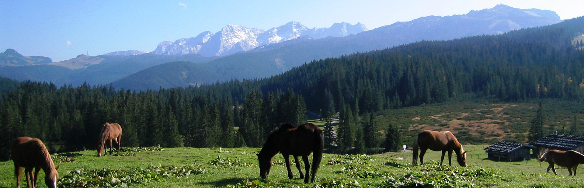 vorlage header almstueberl sommer2